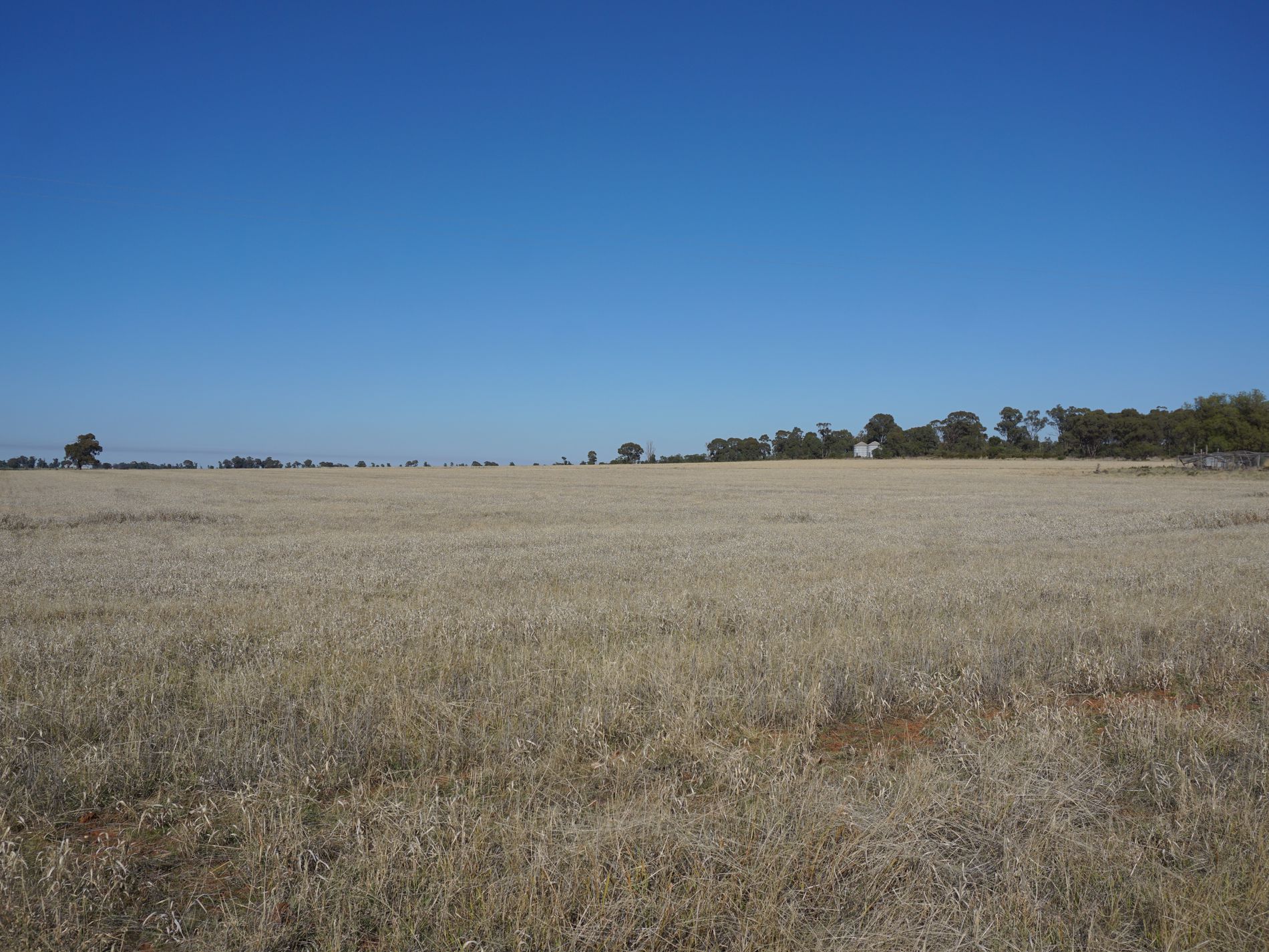 'Durringle' 104 Pfeiffers Lane, West Wyalong