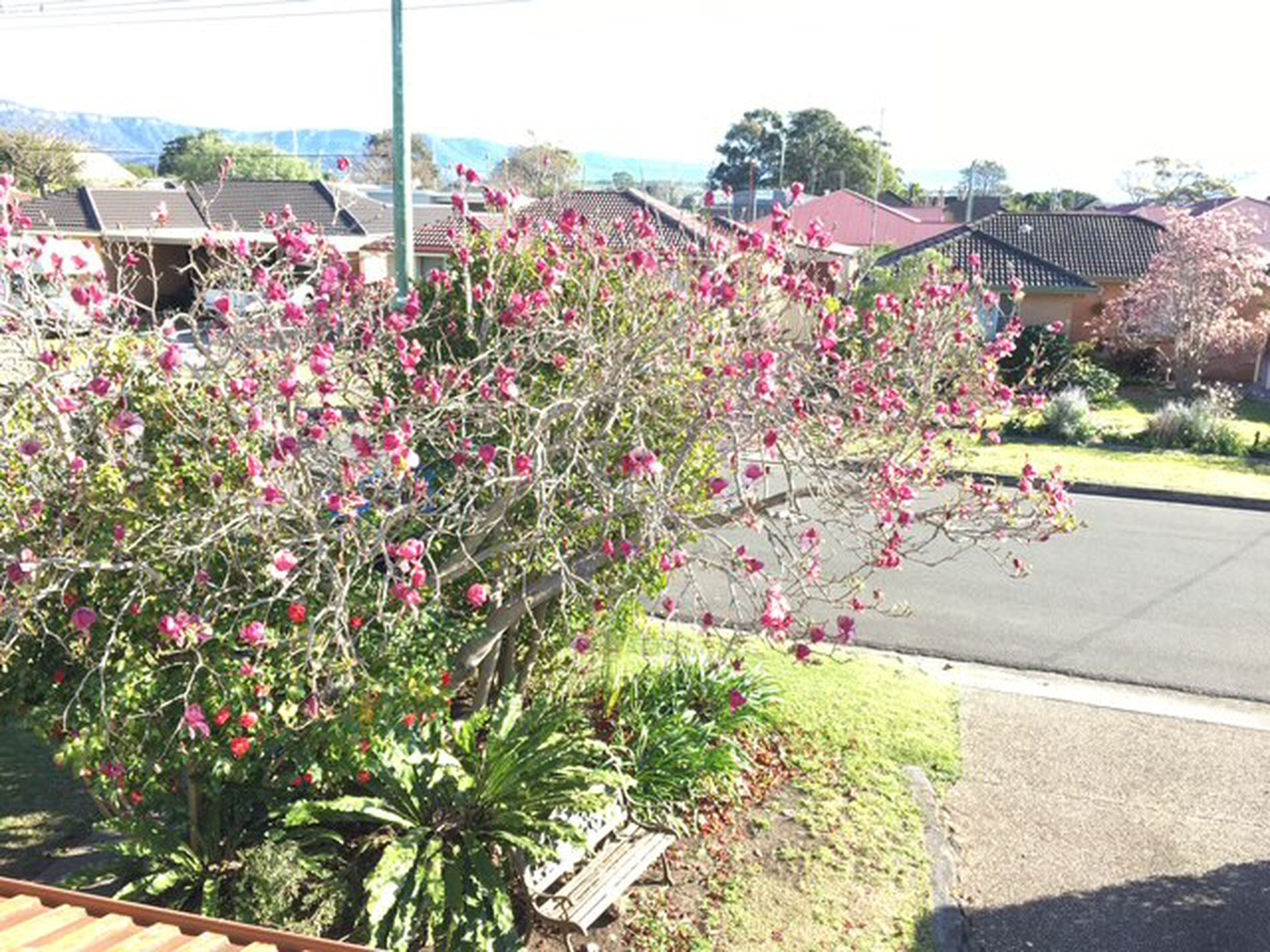 38 O'Gorman Street, Albion Park