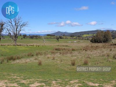 487 Old Tonga Road, Mansfield