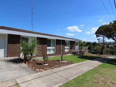 49 Iona Avenue, Belmont