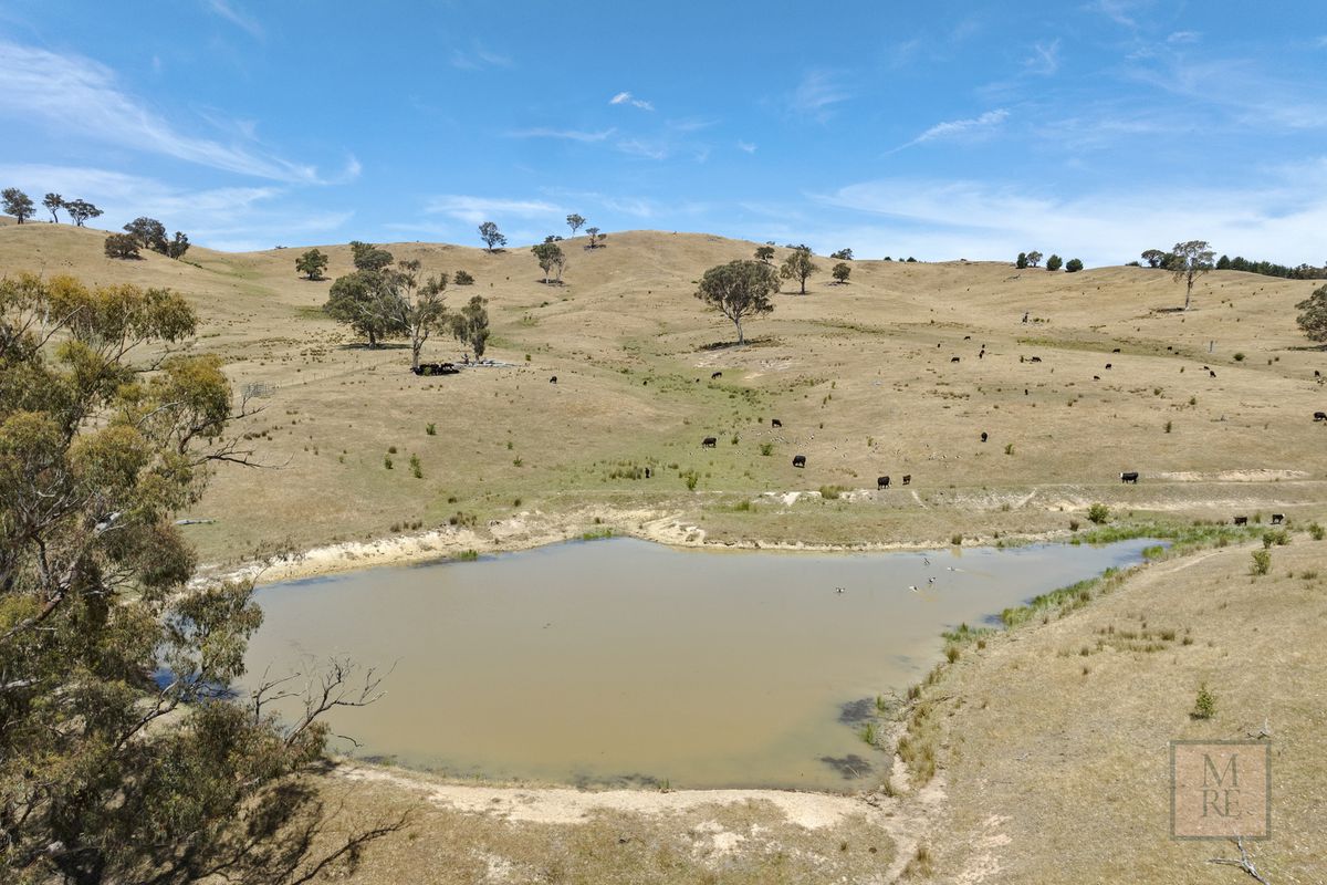 'Dalhaven' via Hells Hole Creek Road, Bonnie Doon