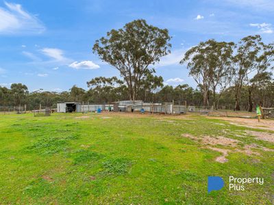 59 Williamsons Road, Laanecoorie