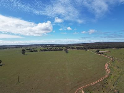 ' Dalmallee' 735 Charcoal Tank Road, West Wyalong