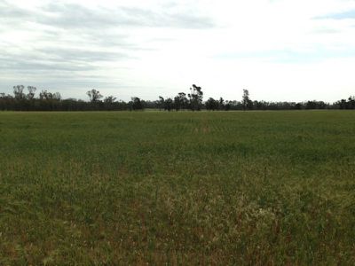 Tocumwal
