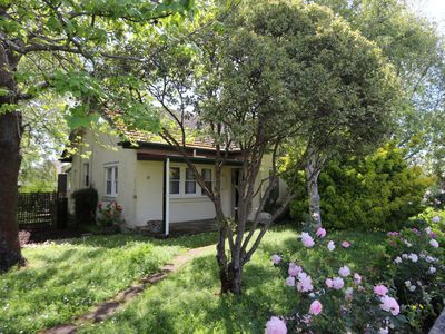 33 Sturt Street, Mount Gambier