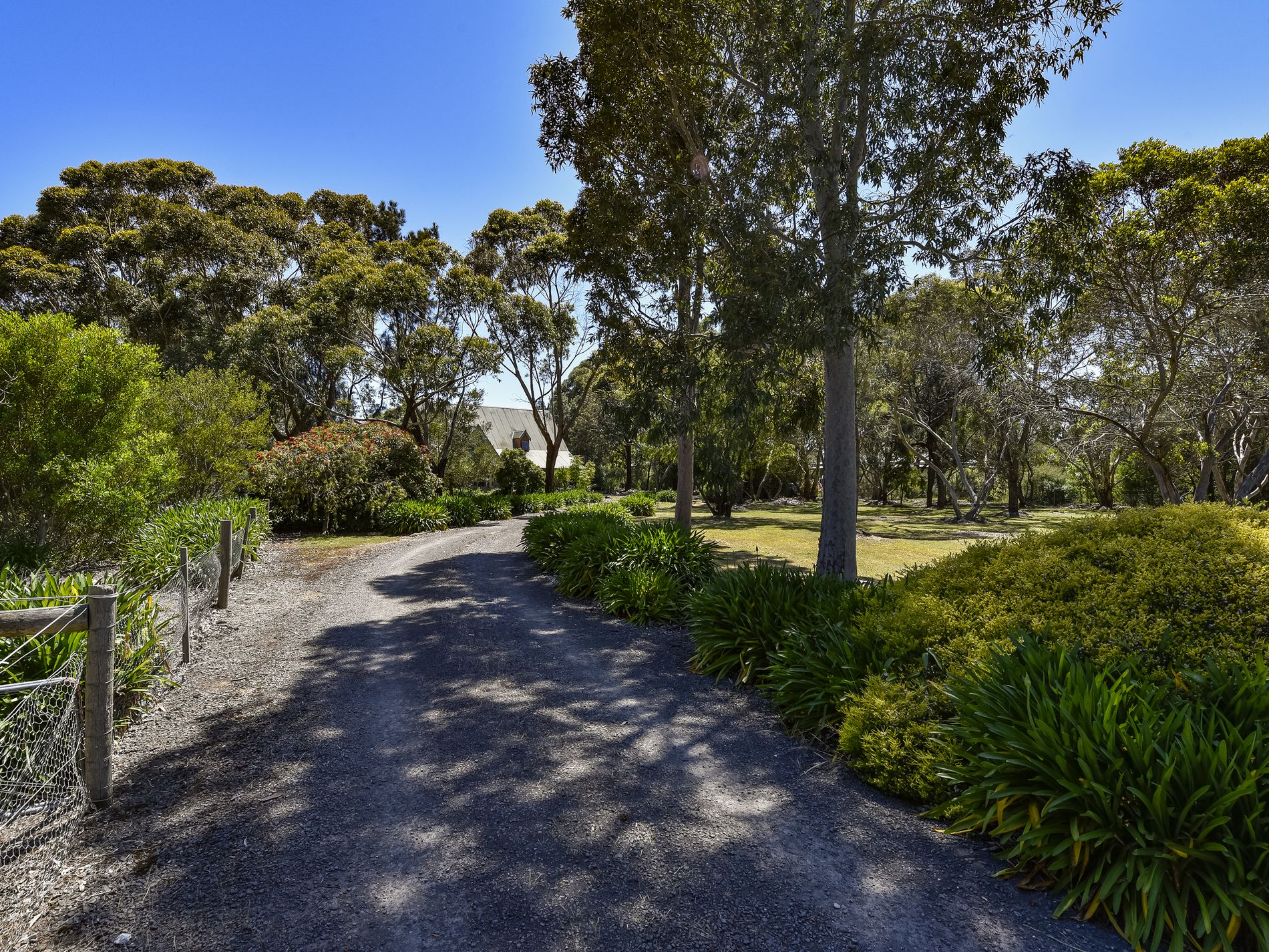 54 Hakea Drive, Millicent