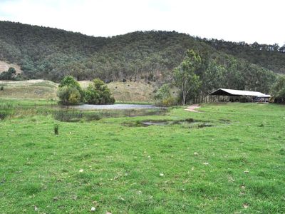 4251 Omeo Highway, Eskdale