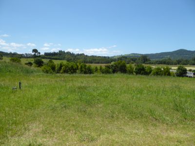 Lot 117 Tallowood Ridge (off Tuckeroo Avenue), Mullumbimby