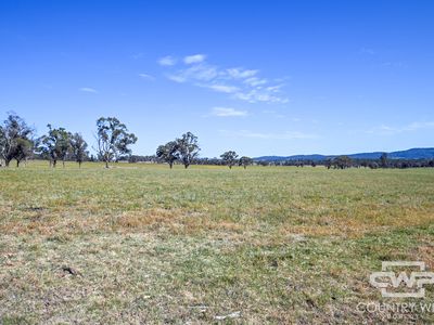 391 Carrot Farm Road, Deepwater