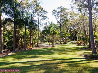 7 Wattlebird Drive, Doonan