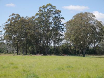 93 Tigells Road, Kingaroy