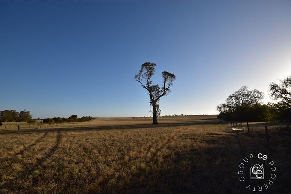 Angas Valley