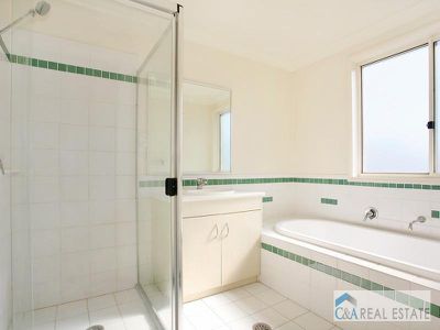 4 Bud Greenspan Cct, Lidcombe