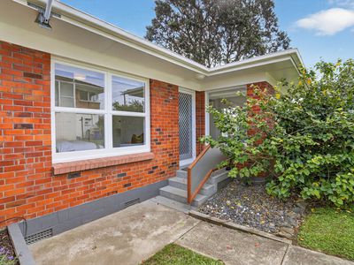 1/3 Ngaio Street, Takapuna