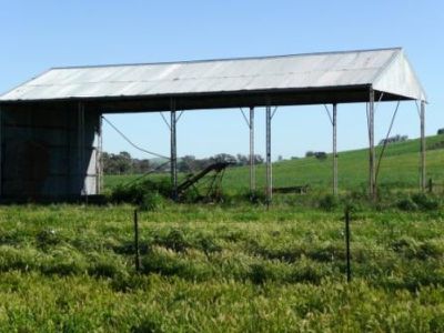 Mountain Creek Road, Holbrook