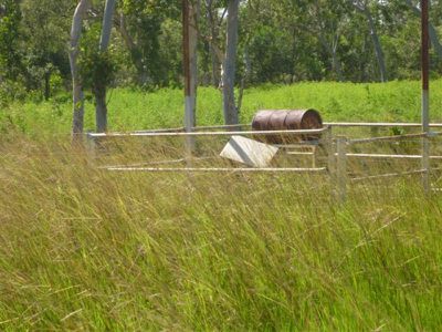 2 Flaggy Road, Cooktown