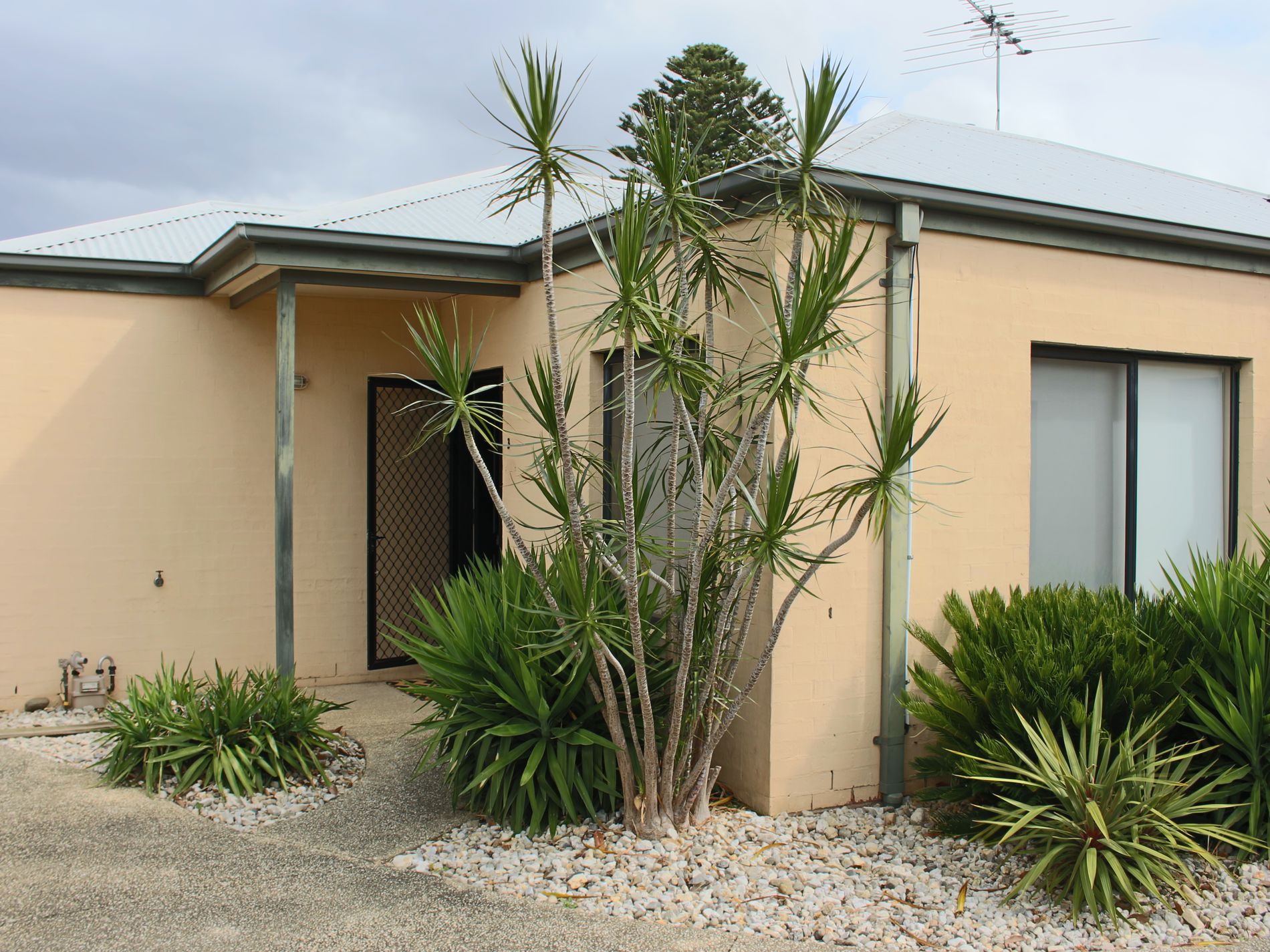 3/155 Hope Street, Geelong West