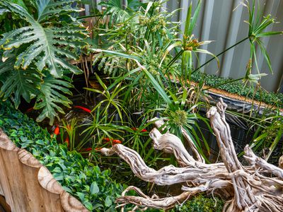 14 Coolimba Turn, Baldivis