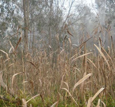 Lot 20, Morgan Drive, Yea