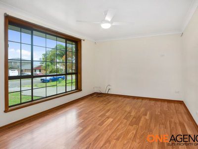 46 Coconut Drive, North Nowra