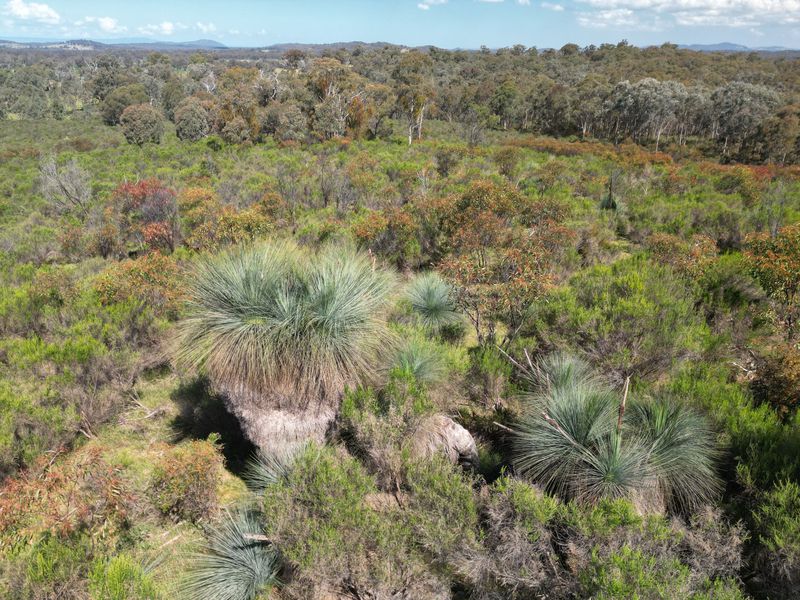 Lot 12 Heathcote-Nagambie Road, Moormbool West