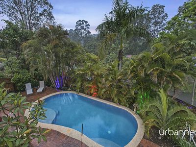 13 Larwood Place, Ferny Hills