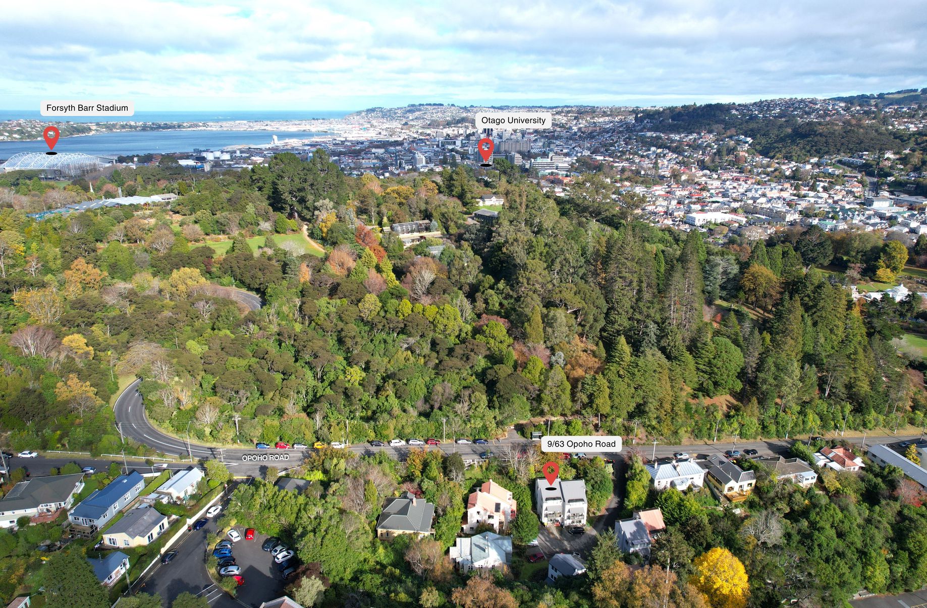 9 / 63 Opoho Road, North East Valley