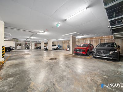 121 Arbutus Street, Canley Heights