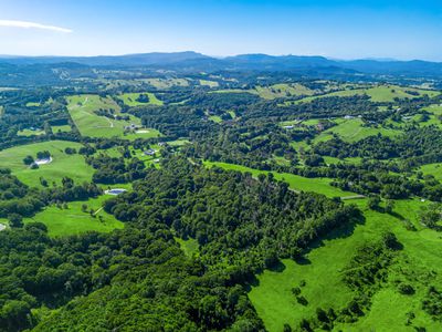 111 FOWLERS LANE, Bangalow