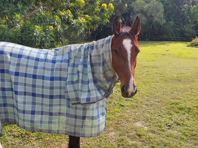 10 Wust Road, Cooroy