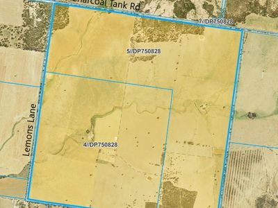 ' Dalmallee' 735 Charcoal Tank Road, West Wyalong