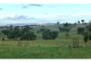 889 Gumble Road, Cumnock