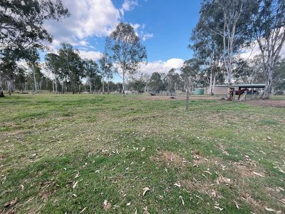 Wattle Camp