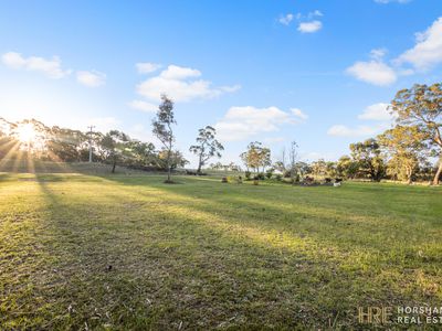 23 Horsham Road, Balmoral