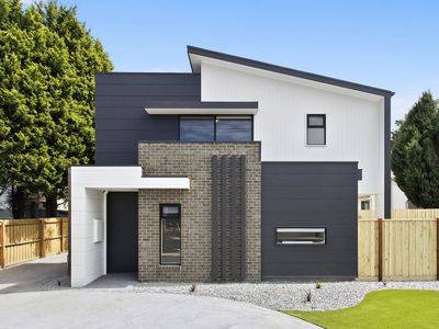 1 / 401 Shannon Avenue, Newtown