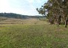 237  Cullya Road - , Orange