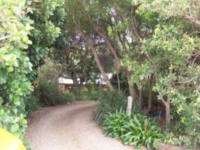 Maleny