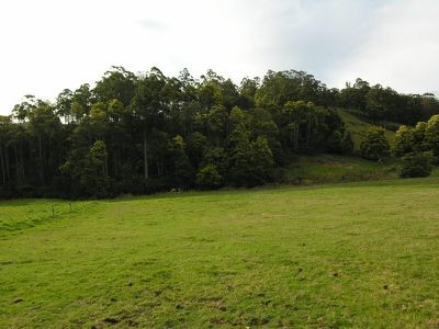 Sculthorpes Road, Nicholls Rivulet