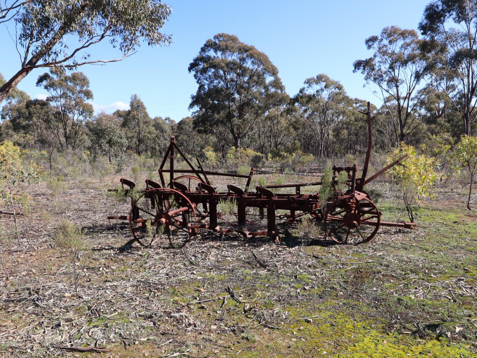 LOT 5 LOT 5 Tait Hamilton Road, Cornella