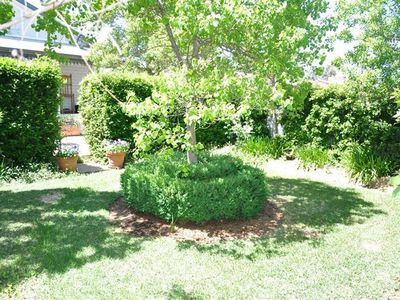 35 Church St, Forbes