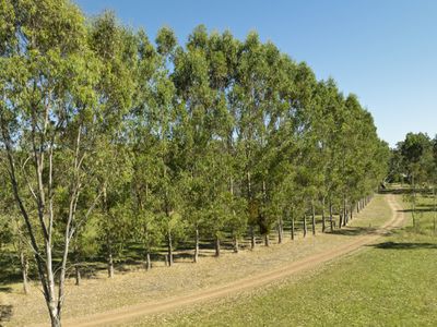 130 Walshs Road, Goughs Bay