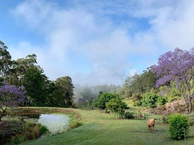 2 Wallaby Road, Stony Chute