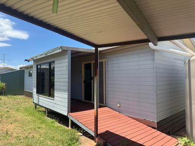 50 Porcupine Lane 'Seymour', Tintinhull