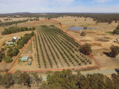 Heathcote
