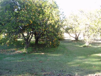 52 Taylors Road, Cohuna
