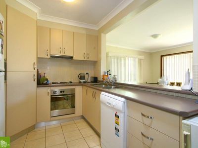 Mount Warrigal