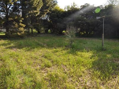 56 Farnell St, Forbes