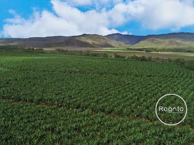 387 Fassio Road, Mareeba