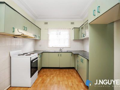 141 Nelson Street, Fairfield Heights