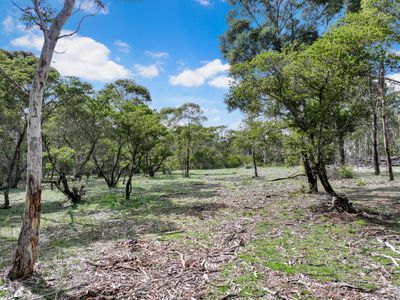 12 Half Moon Road, Mongarlowe